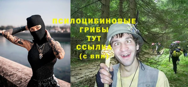 дурь Аркадак
